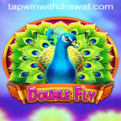 DoubleFly: A Thrilling New Adventure with TAPWIN